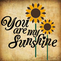 You Are My Sunshine, Children's Wall Art Decal