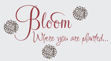 Bloom Where you Are Planted, Vinyl Wall Design