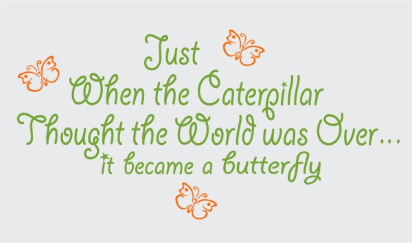 Just When the Caterpillar Thought the World was Over