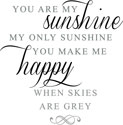 You Are My Sunshine, vinyl wall design